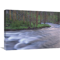 Gibbon River rapids popular river for trout fishing, Yellowstone National Park, Wyoming-Canvas Art-24"x18"