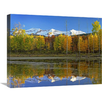 Full moon over East Beckwith Mountain rising above fall colored Aspen forests, Colorado-Canvas Art-24&quotx18"