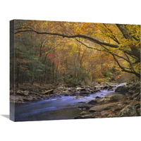 Little River flowing through autumn forest, Great Smoky Mountains National Park, Tennessee-Canvas Art-24&quotx18"