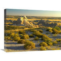 Coyote Bush and eroded features bordering grasslands, Badlands National Park, South Dakota-Canvas Art-24"x18"