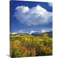 East Beckwith Mountain flanked by fall colored Aspen forests under cumulus clouds, Colorado-Canvas Art-18"x24"