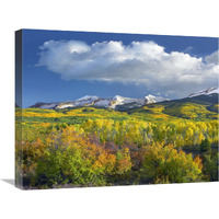 East Beckwith Mountain flanked by fall colored Aspen forests under cumulus clouds, Colorado-Canvas Art-24"x20"