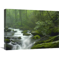 Roaring Fork River flowing through forest in Great Smoky Mountains National Park, Tennessee-Canvas Art-24&quotx18"