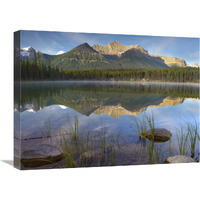 Bow Range and boreal forest reflected in Herbert Lake, Banff National Park, Alberta, Canada-Canvas Art-24"x18"