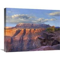 Sandstone cliffs and canyon seen from Toroweap Overlook, Grand Canyon National Park, Arizona-Canvas Art-24&quotx20"