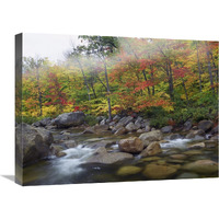 Swift River flowing through fall colored forest, White Mountains National Forest, New Hampshire-Canvas Art-24"x18"