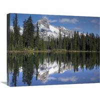 Wiwaxy Peaks and Cathedral Mountain at Lake O"Hara, Yoho National Park, British Columbia, Canada-Canvas Art-24"x20"