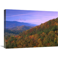 Appalachian Mountains ablaze with fall color, Great Smoky Mountains National Park, North Carolina-Canvas Art-24"x18"