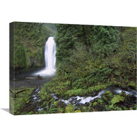 Multnomah Falls cascading through temperate rainforest, Columbia River Gorge near Portland, Oregon-Canvas Art-24&quotx18"