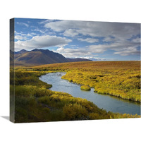 North Klondike River flowing through tundra beneath the Ogilvie Mountains, Yukon Territory, Canada-Canvas Art-24"x20"