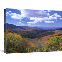 Deciduous forest in the autumn from Thunderstruck Ridge Overlook, Blue Ridge Parkway, North Carolina-Canvas Art-24"x18"