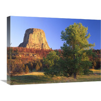 Devil"s Tower National Monument showing famous basalt tower, sacred site for Native Americans, Wyoming-Canvas Art-24"x18"