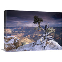 South Rim of Grand Canyon with a dusting of snow seen from Yaki Point, Grand Canyon National Park, Arizona-Canvas Art-24&quotx18"