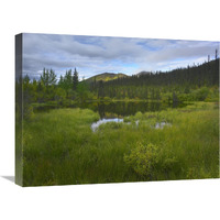 Boreal forest with pond and Antimony Mountain in the background, Ogilvie Mountains, Yukon Territory, Canada-Canvas Art-24&quotx18"