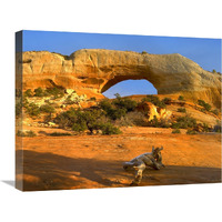 Wilson Arch with a span of 91 feet and height of 46 feet, made of entrada sandstone, Utah-Canvas Art-24&quotx18"