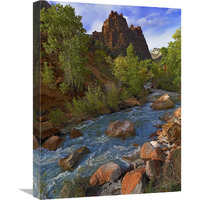 Mt Spry at 5,823 foot elevation with the Virgin River surrounded by Cottonwood trees, Zion National Park, Utah-Canvas Art-18"x24"