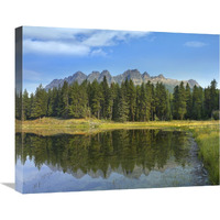 Yellowhead Mountain and Yellowhead Lake with boreal forest, Mount Robson Provinvial Park, British Columbia, Canada-Canvas Art-24&quotx20"