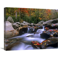 Little Pigeon River cascading among rocks and colorful Maple leaves, Great Smoky Mountains National Park, Tennessee-Canvas Art-24"x20"