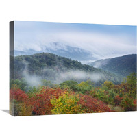 Broadleaf forest in fall colors, Skyline Drive, Shenandoah National Park, Virginia-Canvas Art-24"x18"