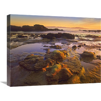 Tidepools exposed at low tide, Botanical Beach, Juan de Fuca Provincial Park, Vancouver Island, British Columbia, Canada-Canvas Art-24"x18"