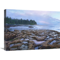 Tide pools exposed at low tide, Botanical Beach, Juan de Fuca Provincial Park, Vancouver Island, British Columbia, Canada-Canvas Art-24"x18"