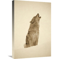 Timber Wolf portrait, howling in snow, North America - Sepia-Canvas Art-18"x24"