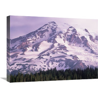 Mt Rainier, Mt Rainier National Park, Washington-Canvas Art-24&quotx18"