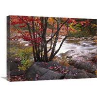 The Swift River, White Mountains National Forest, New Hampshire-Canvas Art-24"x18"