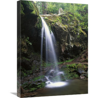 Grotto Falls and Roaring Fork Motor Nature Trail, Great Smoky Mountains-Canvas Art-18"x24"