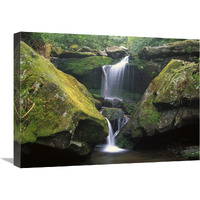 Cascade near Grotto Falls, Great Smoky Mountains National Park, Tennessee-Canvas Art-24"x18"