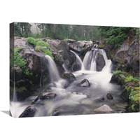 Paradise River cascade, Mt Rainier National Park, Washington-Canvas Art-24&quotx18"