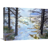 Travertine formations, Minerva Terrace, Mammoth Hot Springs, Yellowstone NP-Canvas Art-24&quotx18"