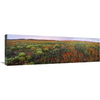 Panoramic view of Salt Valley, Arches National Park, Utah-Canvas Art-36"x12"