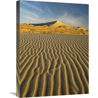 Wind ripples in Kelso Dunes, Mojave National Preserve, California-Canvas Art-18&quotx24"