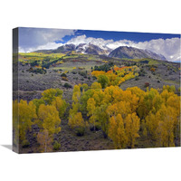 Fall colors at Chair Mountain, Colorado-Canvas Art-24"x18"