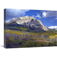 Fall colors at Gunnison National Forest, Colorado-Canvas Art-24"x18"