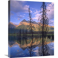 Chancellor Peak reflected in lake, Yoho National Park, BC, Canada-Canvas Art-20"x24"