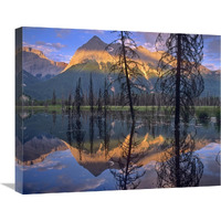 Chancellor Peak reflected in lake, Yoho National Park, BC, Canada-Canvas Art-24"x20"