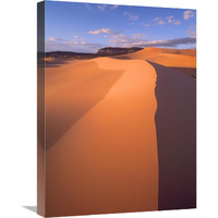 Wind ripples in sand dunes, Coral Pink Sand Dunes State Park, Utah-Canvas Art-18&quotx24"