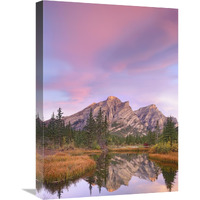 Mount Kidd and trees reflected in pond, Alberta, Canada-Canvas Art-18"x24"