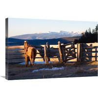 Splendor in the Valle Vidal-Canvas Art-30"x20"