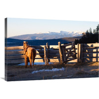 Splendor in the Valle Vidal-Canvas Art-36"x24"