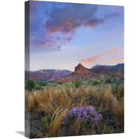 Caprock Canyons State Park, Texas-Canvas Art-18"x24"