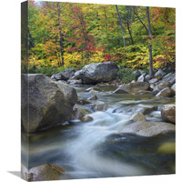 Swift River in fall, White Mountains National Forest, New Hampshire-Canvas Art-18.7"x22"