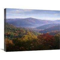 Autumn deciduous forest from the Blue Ridge Parkway, North Carolina-Canvas Art-24&quotx18"