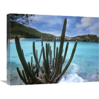 Cactus growing along Trunk Bay,  Virgin Islands-Canvas Art-24"x18"