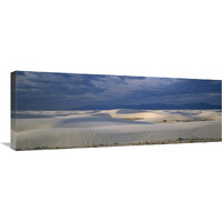 Soaptree Yucca in gypsum dunes, White Sands National Monument, New Mexico-Canvas Art-36"x13.32"