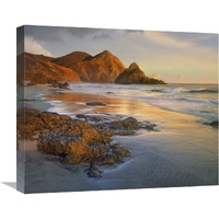 Bean Hollow Beach, Big Sur, California-Canvas Art-22"x18.26"