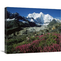 Wildflowers and Kangshung Glacier, Mt Chomolonzo in background, Tibet-Canvas Art-22"x18.26"