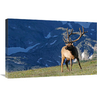 Above the Timberline-Canvas Art-30"x19.5"